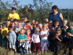 ovipfalu_1_20180901